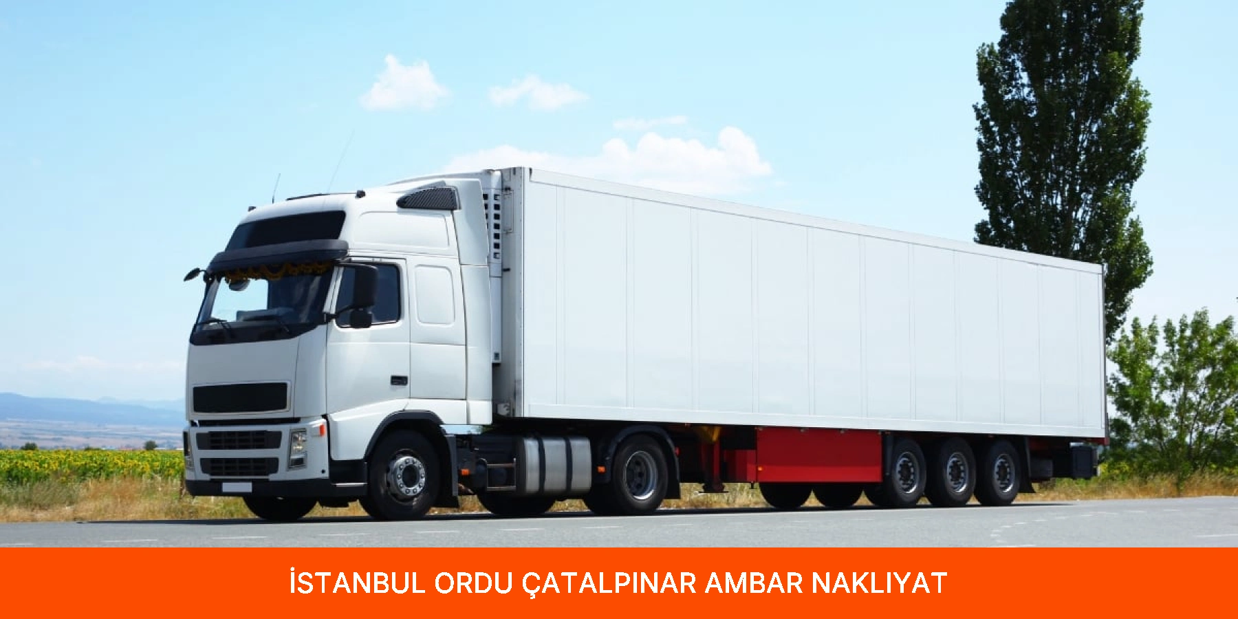 Çatalpınar Ambar